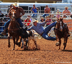 Quotes About Roping...