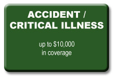 Arizona 928-252-2493 | Florida 941-704-8148 | william@replacecobra.com
