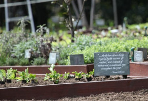 plaque in the White House garden has a quote from Thomas Jefferson ...