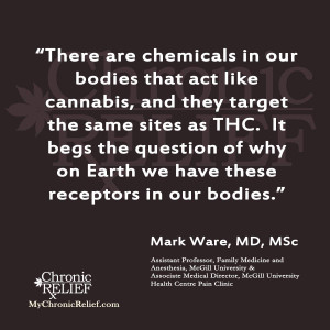 There are chemicals in our bodies that act like cannabis, and they ...