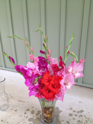 Floral Arrangements with Gladiolus