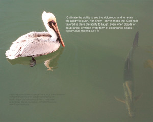 Pelican Surveys a Large Fish, Copyright (c) 2008 Carol Chapman