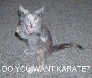 Ha this is funny! Karate!!!:( :)