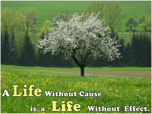 life is without cause is a life without effect.
