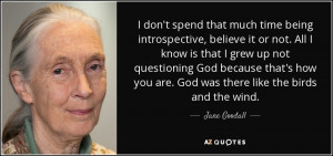 don't think that faith, whatever you're being faithful about, really ...