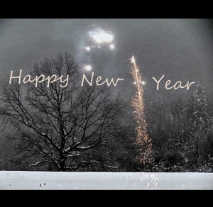 photo: h.koppdelaney /Flickr