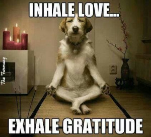 Via Alexander Lamont