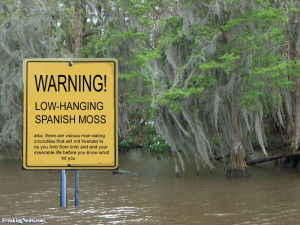 Spanish Moss - pictures