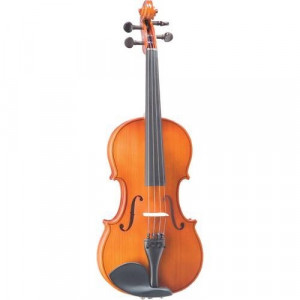 Viola Instrument Viola