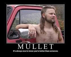 Funny Quotes about Mullets