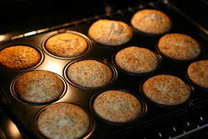Cranberry-Mohn Muffins in baking tray