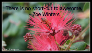 Awesome, Zoe Winter, Quote, Words, funny quote, funny, humor