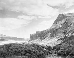 Lily White , Upper Cape Horn, Near Celilo Falls of the Columbia