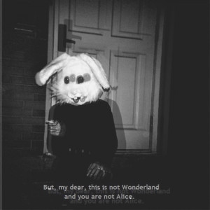 Grunge posts/reblogs every day.