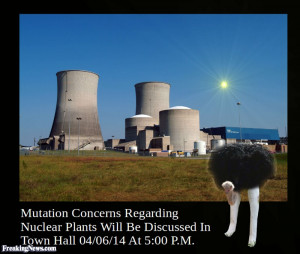 fake town hall meeting poster using a photoshopped 'mutated' ostrich ...