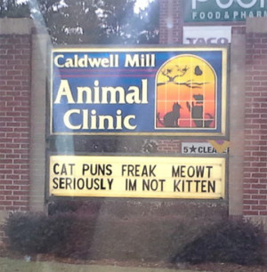 funny-picture-sign-vet-street-cat