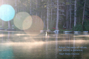 on a lake catching fish, sun rays, trees with an Emerson quote ...