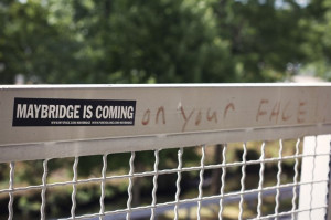 Found on wolvesinspace.com