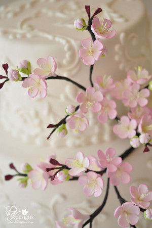 Cherry Blossom Desktop Wallpaper Flowers