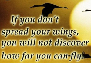 ... don’t spread your wings, you will not discover how far you can fly