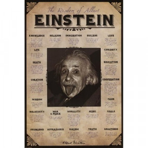 Albert Einstein Quote Poster (24x36) Home & Kitchen