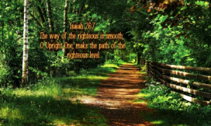 ... bible verses, path, nature, bible, holy spirit, walking, forest