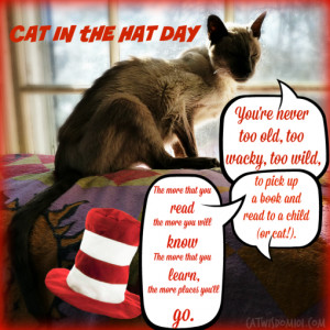 Cat in the Hat Day With Wacky, Wild and Weird Cats