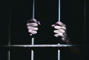 Funny Quotes Contact Dmca