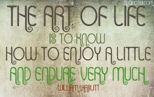 The Art Of Life Picture Quote - MLQuotes