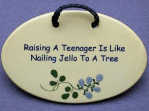 Raising a teenager is like nailing jello to a tree
