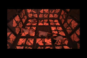 cube movie 1997