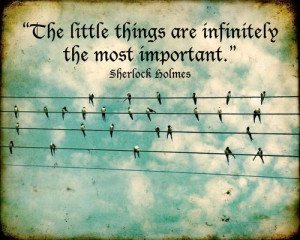 the little things are infinitely the most important- Sherlock Holmes