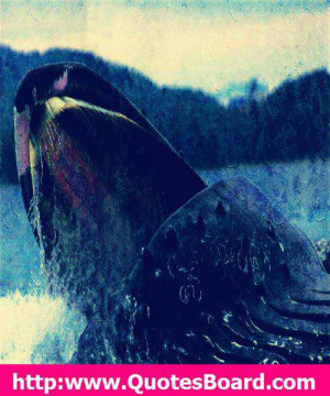 just wish you knew what I feel about you. That is it.- Short Love ...