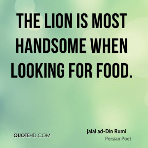 The lion is most handsome when looking for food.