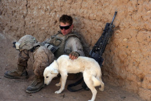 The United States War Dogs Association estimates that, since the ...