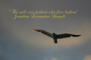 Jonathan Livingston Seagull Quotes