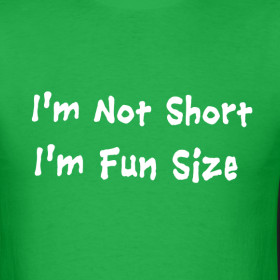 Design ~ I'm not short I'm fun size - funny t-shirt