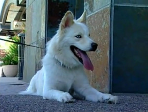 pics of rudy and bud from the cosbys