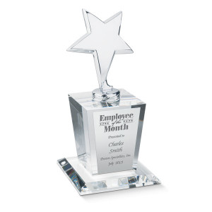 Star Excellence Award Gifts...