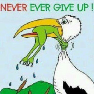 Never give up.... 