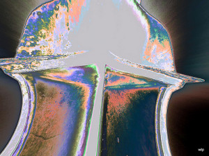 Presumptuous Guests -- Tom Chambers