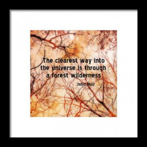 Nature Art Muir Quote Framed Print