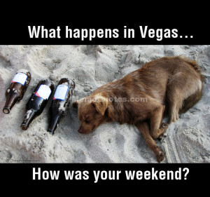 What happens in Vegas stays in Vegas. How was your weekend? Download ...
