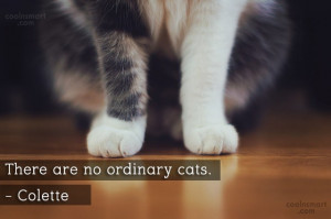 Cats Quote: There are no ordinary cats. – Colette