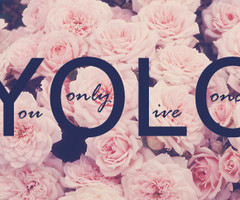 Tagged with yolo flowers pink life