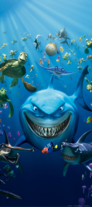 Finding Nemo Bruce Wallpaper