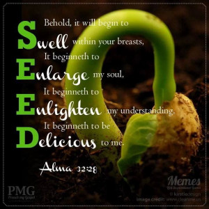 Faith is like a little seed :)