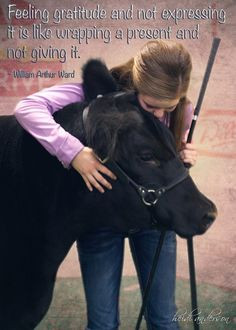 farms girls cattle stuff country girls cattle 3 goin showin cattle ...