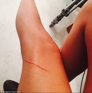 Catfight: Taylor Swift took to Instagram to joke that her cat Meredith ...