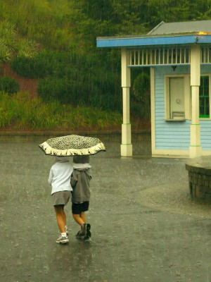 Quotes About Enjoying The Rain http://forum.xcitefun.net/lets-enjoy ...